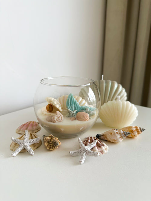 Clam Shell and Starfish Candle Set